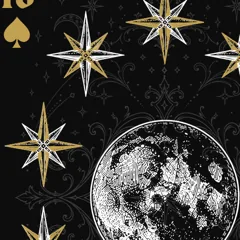 Detail from the Ten of Spades in the Black Ace deck